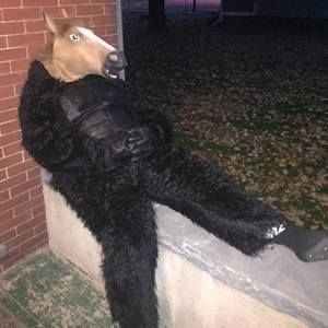 Meet your Posher, Thor